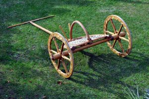 dsc_0019s-l1024-h768